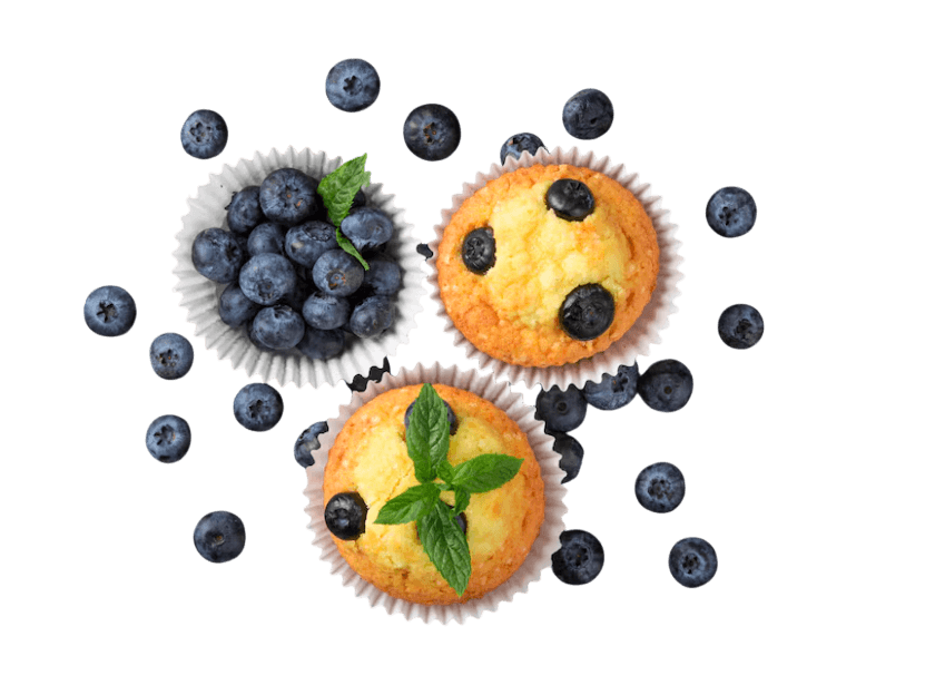 Blueberry Cupcake