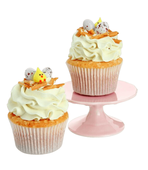 Vanilla Cupcake