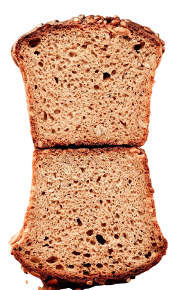 Whole Wheat Bread